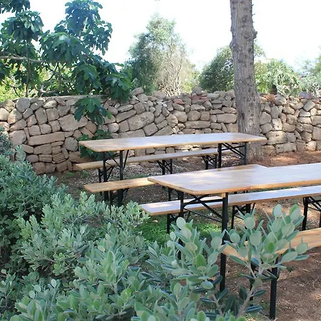 Cavalluccio Marino Favignana