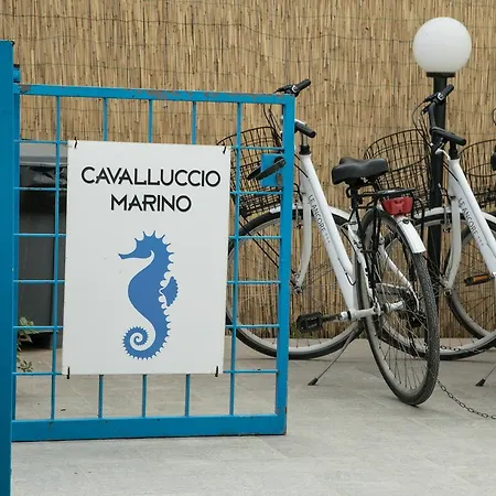 Appartamento Cavalluccio Marino Favignana
