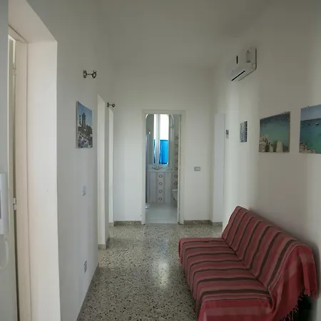 Cavalluccio Marino